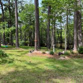 Review photo of Buffalo Bayou RV Park by Jason W., May 8, 2023