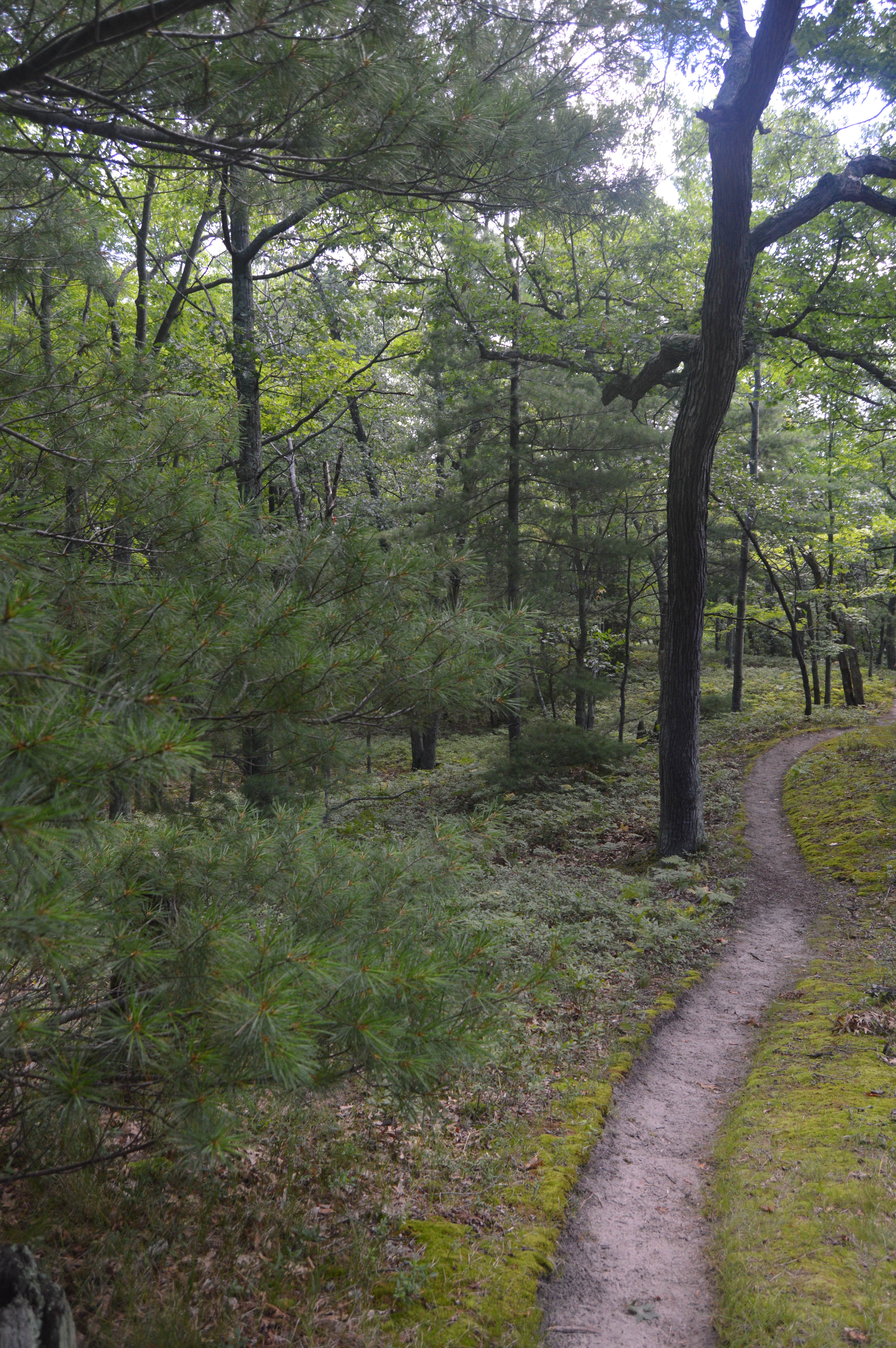 Camper submitted image from Lake Michigan Recreation Area - 5