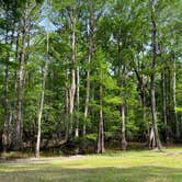 Review photo of Buffalo Bayou RV Park by Jason W., May 8, 2023