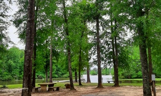 Camping near Gantt Lake RV Park: Point A Park RV & Campground , Andalusia, Alabama