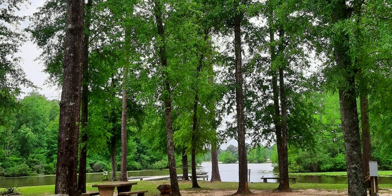 Camper submitted image from Point A Park RV & Campground