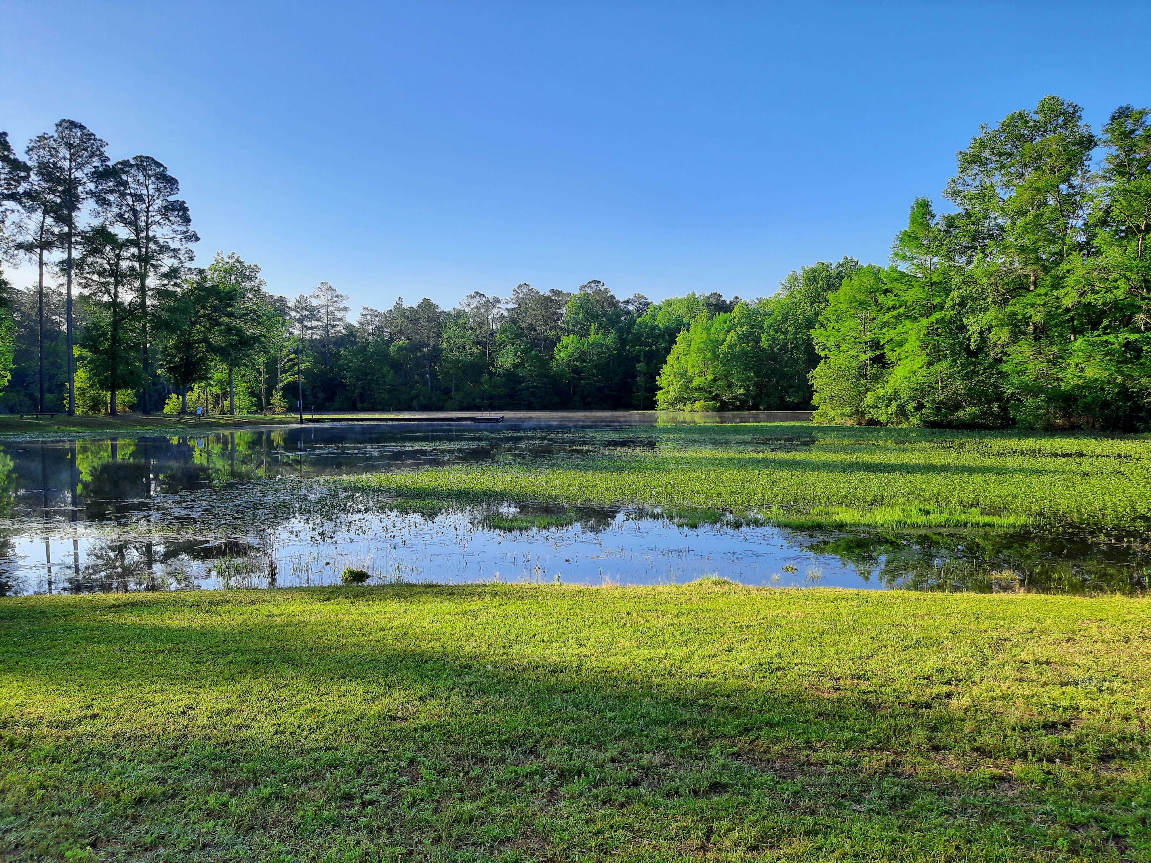Camper-submitted photo at Point A Park RV & Campground near Kinston, AL