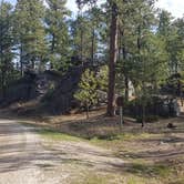 Review photo of RD 356 Dispersed Site Black Hills National Forest by Gregory , May 8, 2023