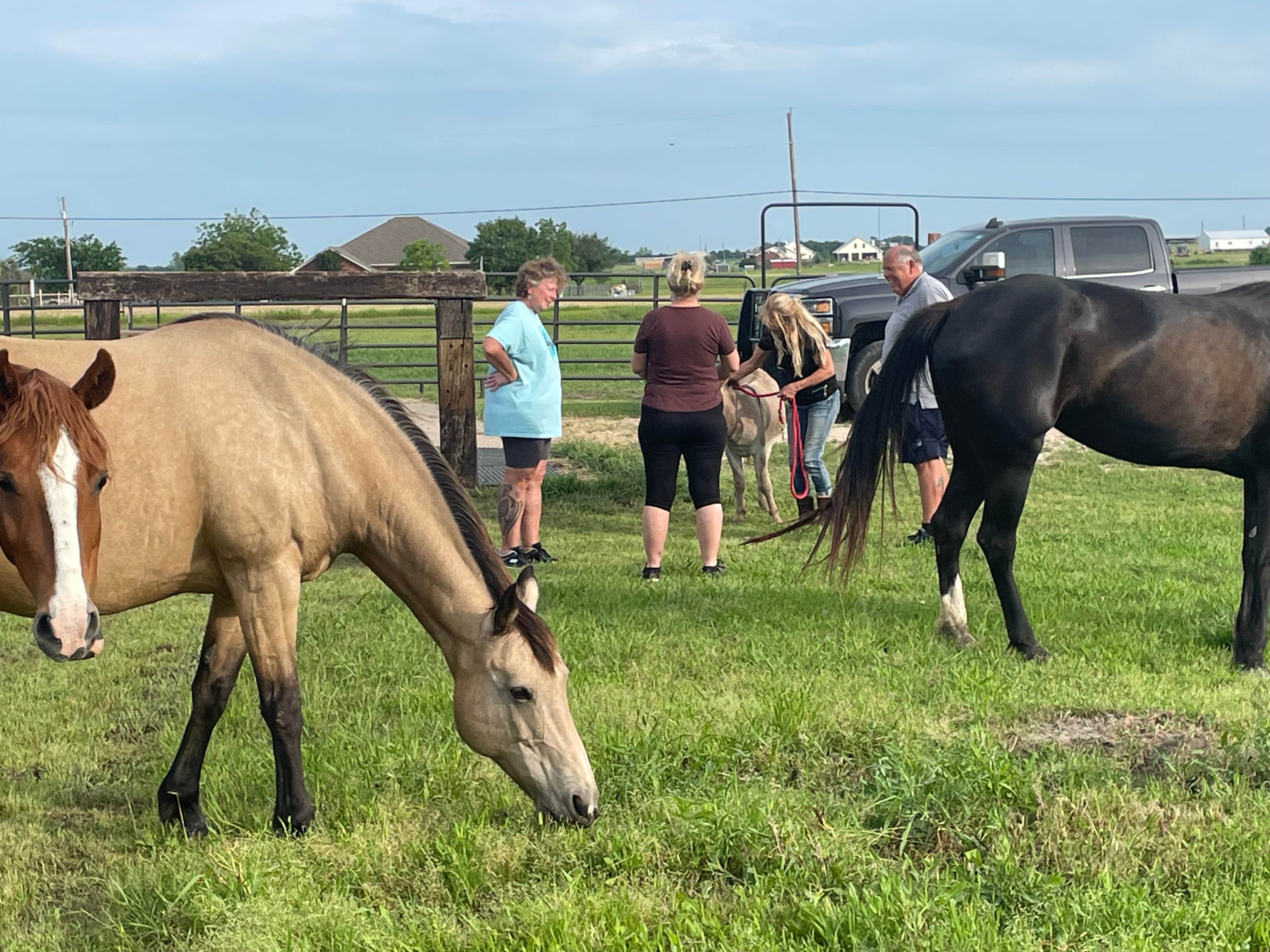 Camper-submitted photo at Mustang 2nd Chance Foundation near Franklin, TX