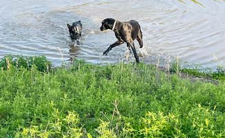M2 R.'s photo of camping with pets at Mustang 2nd Chance Foundation near Moody, TX