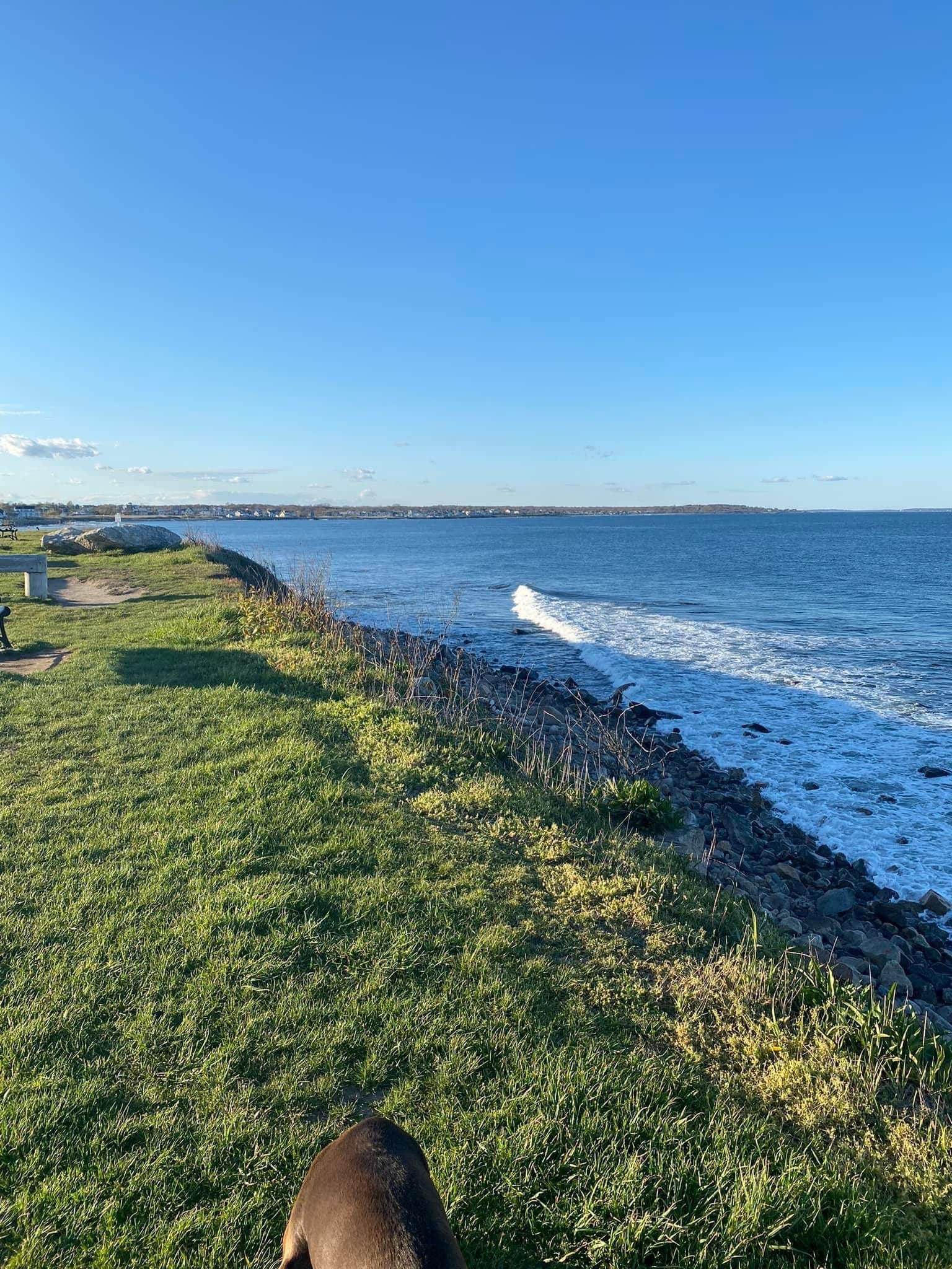 Andrzej K.'s photo of camping with pets at Fishermens Memorial State Park Campground in Rhode Island