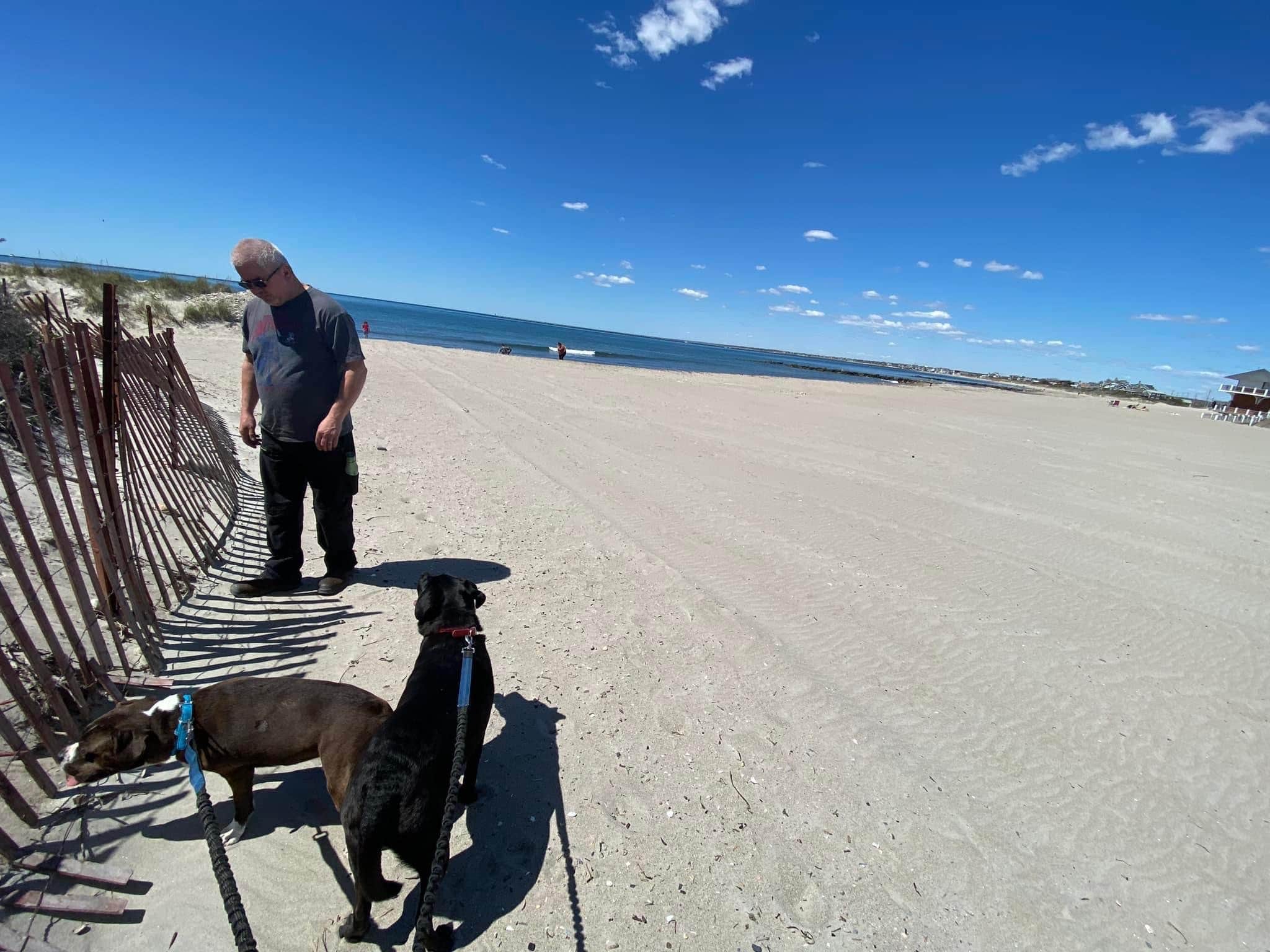 Andrzej K.'s photo of camping with pets at Fishermens Memorial State Park Campground near Westerly, RI