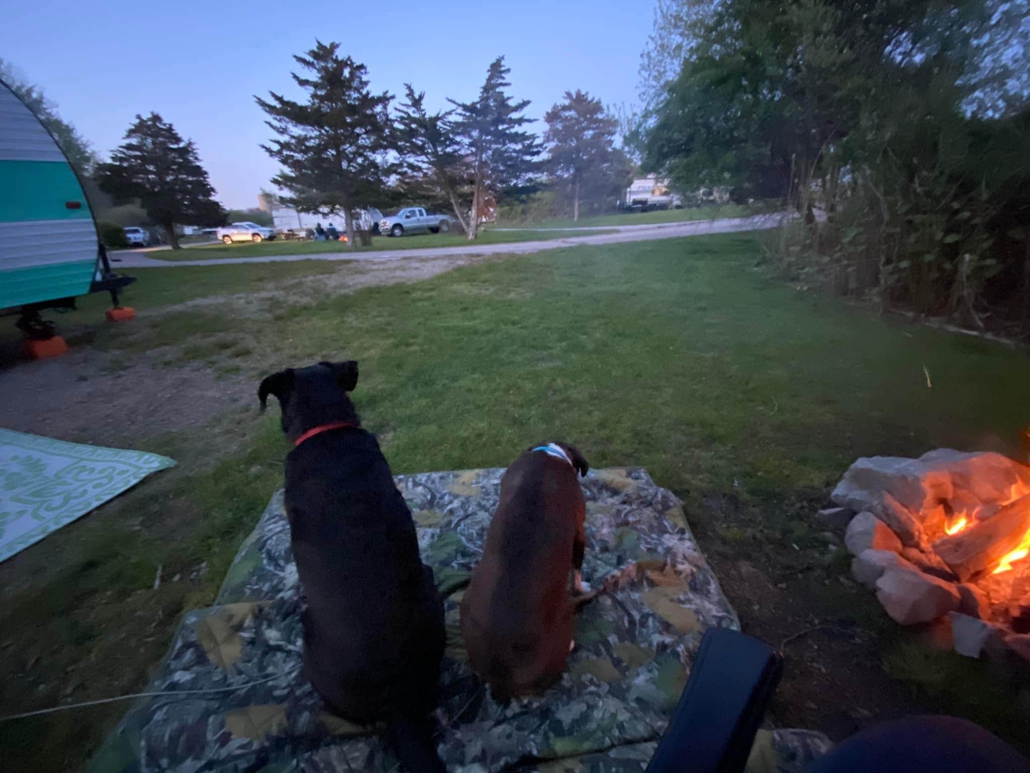 Andrzej K.'s photo at Fishermens Memorial State Park Campground near Portsmouth, RI