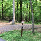 Review photo of Greenbelt Park Campground — Greenbelt Park by Roger W., May 8, 2023