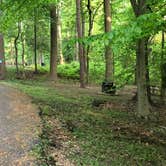 Review photo of Greenbelt Park Campground — Greenbelt Park by Roger W., May 8, 2023