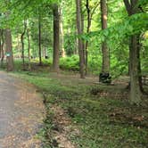 Review photo of Greenbelt Park Campground — Greenbelt Park by Roger W., May 8, 2023