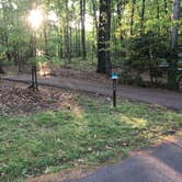 Review photo of Greenbelt Park Campground — Greenbelt Park by Roger W., May 8, 2023