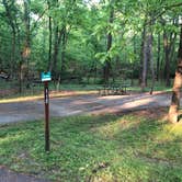 Review photo of Greenbelt Park Campground — Greenbelt Park by Roger W., May 8, 2023