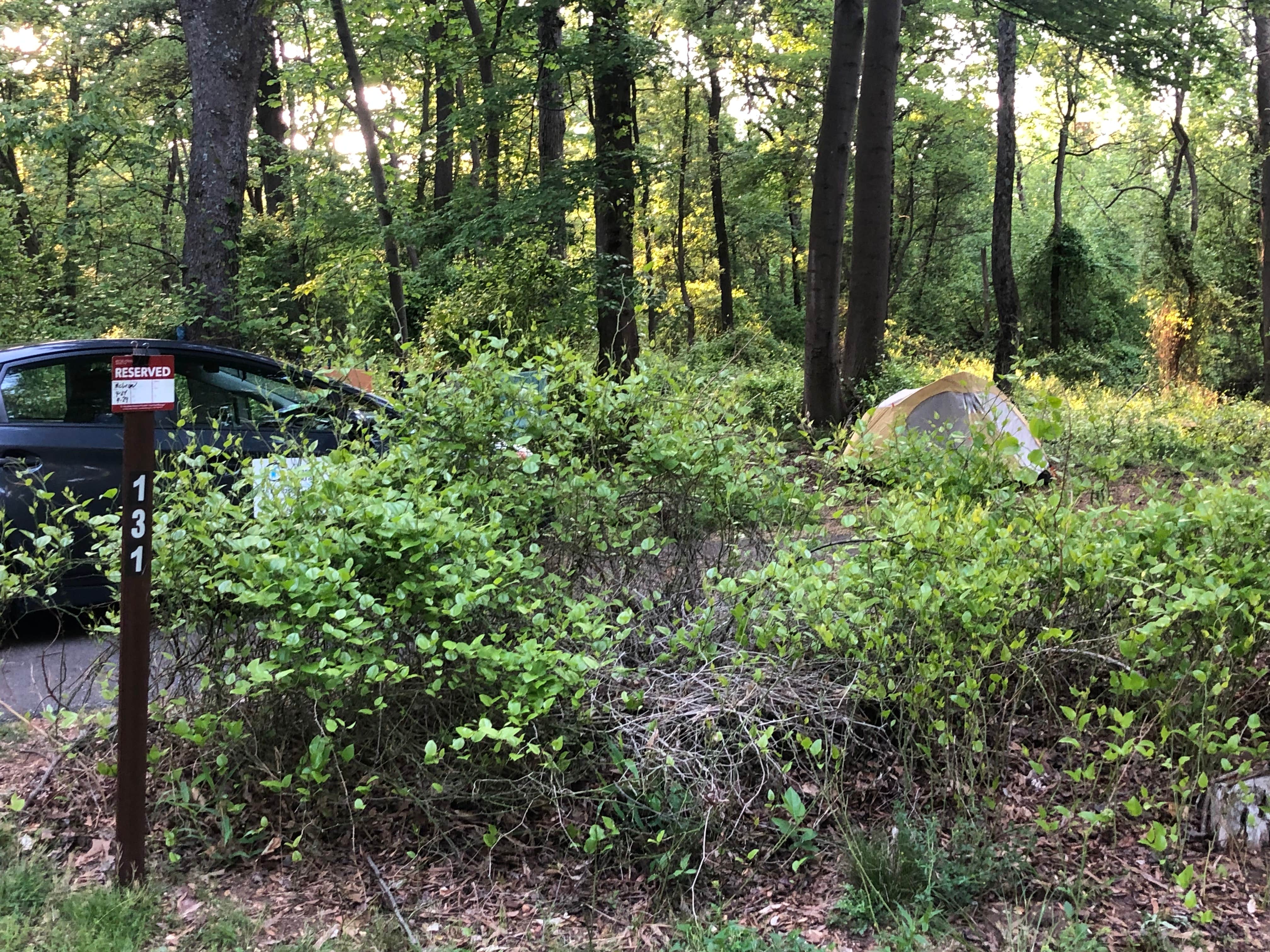 Roger W.'s photo at Greenbelt Park Campground — Greenbelt Park near Rockville, MD