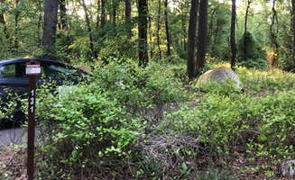 Roger W.'s photo at Greenbelt Park Campground — Greenbelt Park near Fairmount Heights, MD
