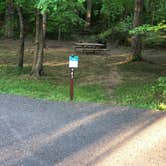 Review photo of Greenbelt Park Campground — Greenbelt Park by Roger W., May 8, 2023