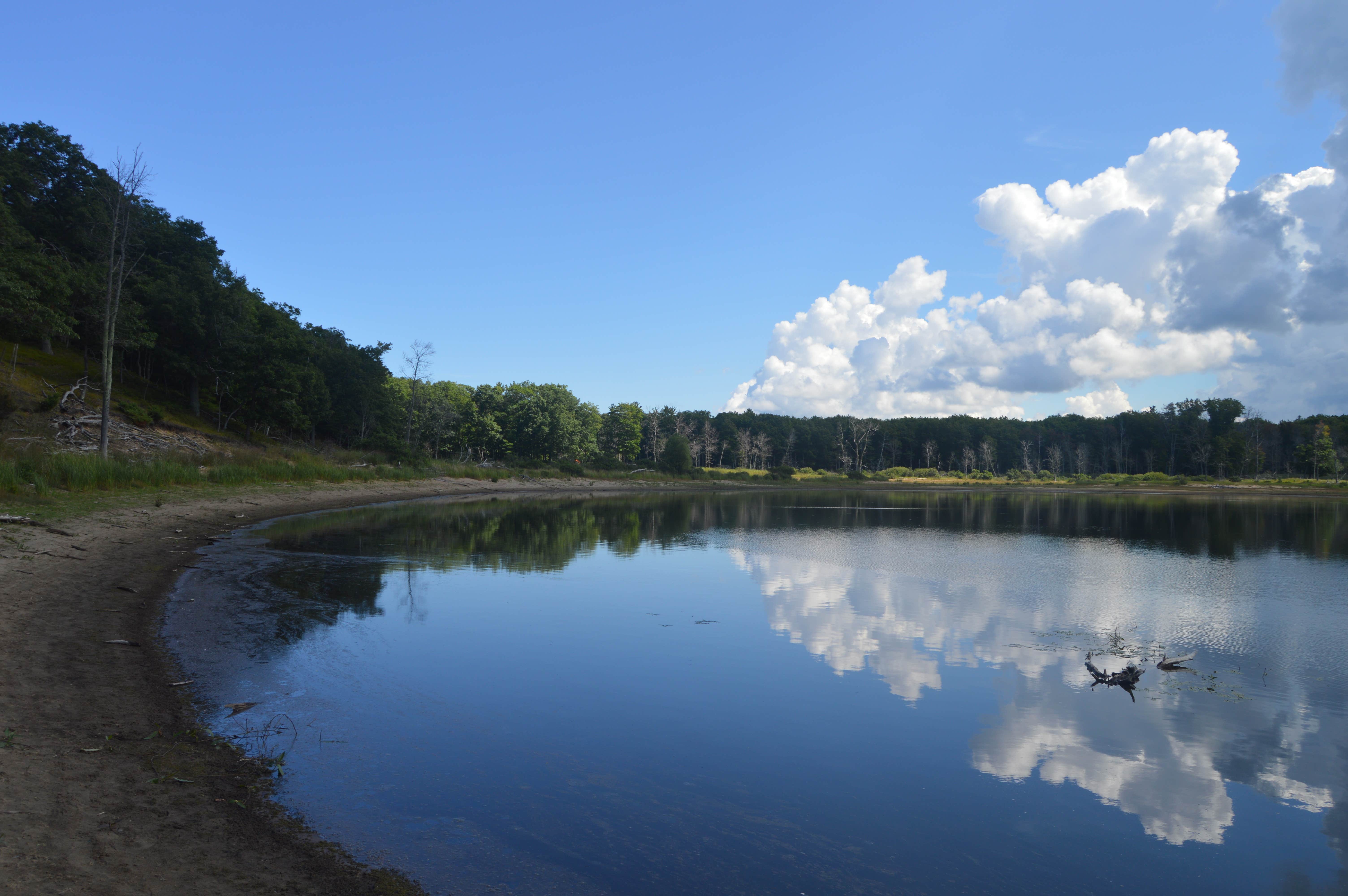 Camper submitted image from Lake Michigan Recreation Area - 3