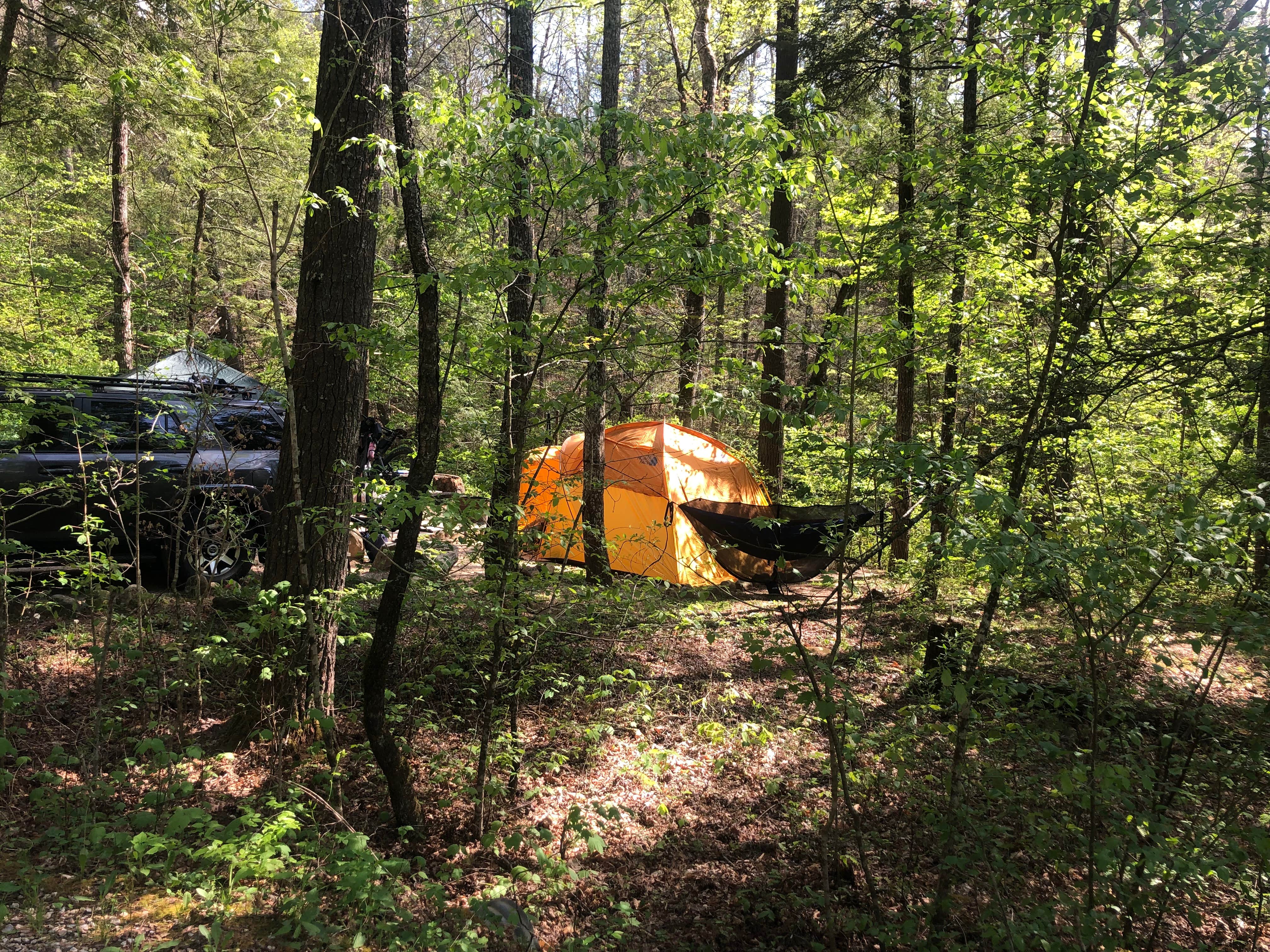 Camper-submitted photo at North Creek Campground near Natural Bridge, VA