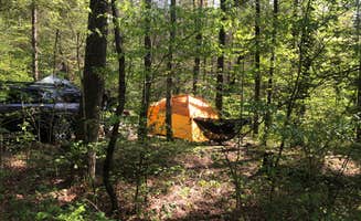 Roger W.'s photo at North Creek Campground near Glasgow, VA