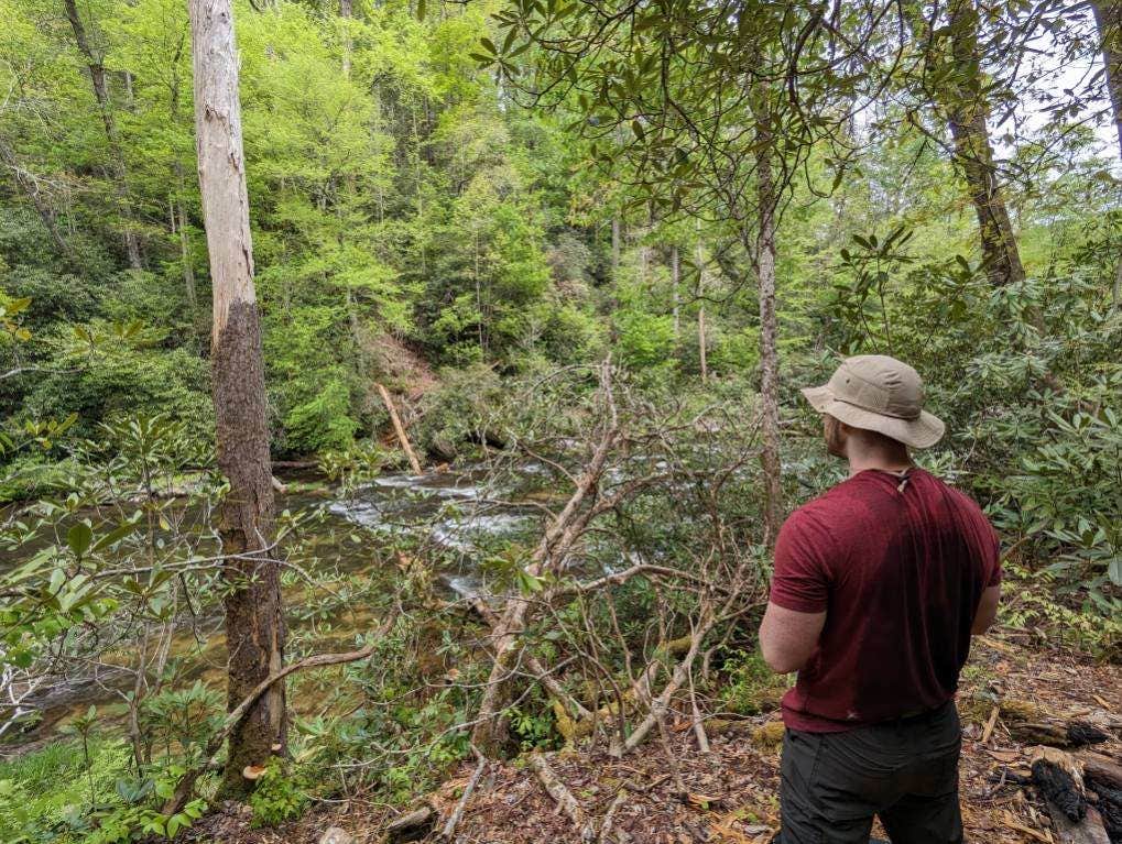 Camper-submitted photo at Ammons Branch Campground near Dillard, GA