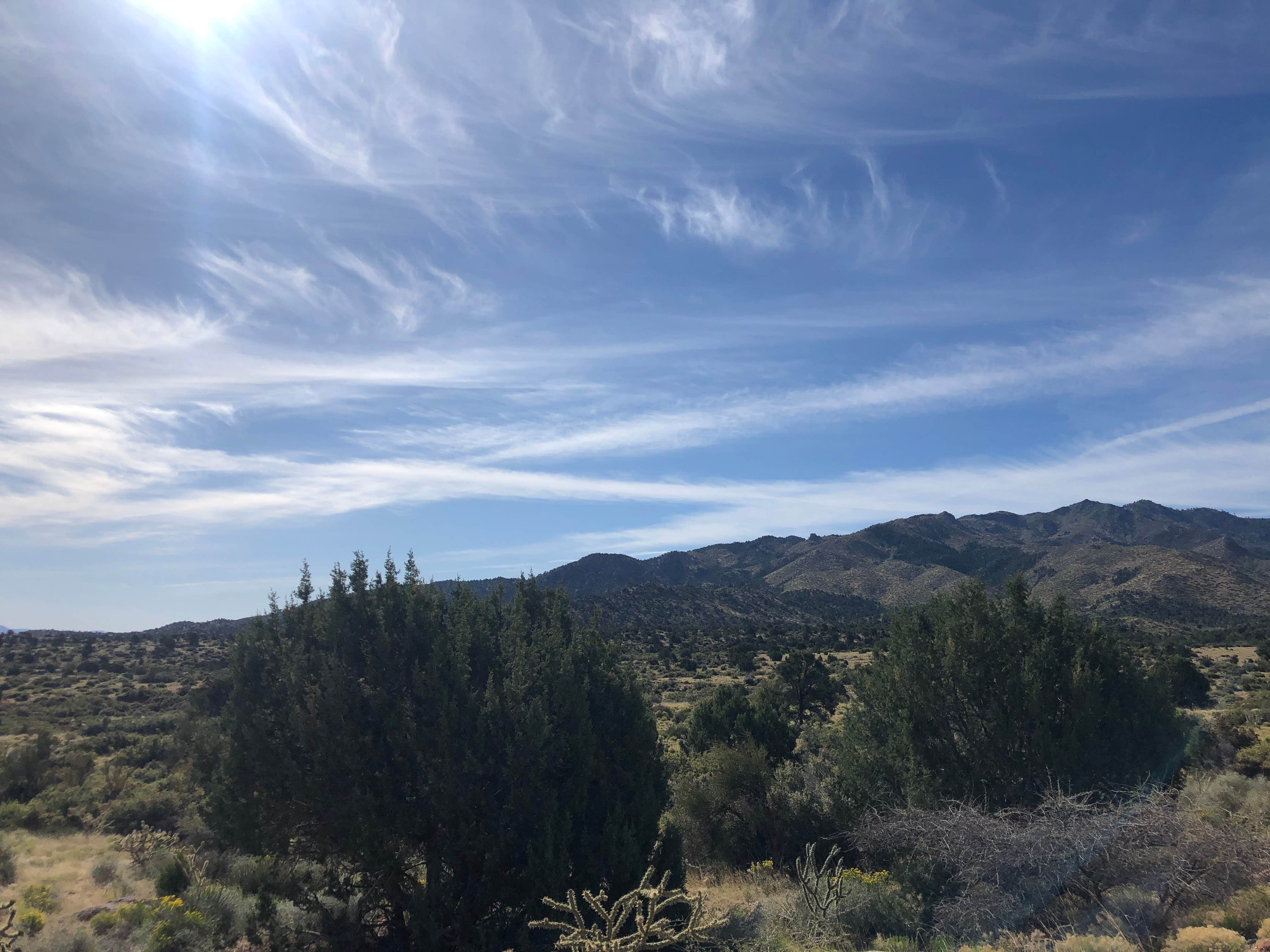 Camper-submitted photo at DW Ranch Road near Kingman, AZ