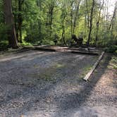 Review photo of Grandview Sandbar Campground — New River Gorge National Park and Preserve by Roger W., May 8, 2023