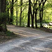 Review photo of Grandview Sandbar Campground — New River Gorge National Park and Preserve by Roger W., May 8, 2023