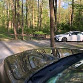 Review photo of Grandview Sandbar Campground — New River Gorge National Park and Preserve by Roger W., May 8, 2023