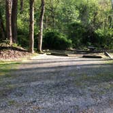 Review photo of Grandview Sandbar Campground — New River Gorge National Park and Preserve by Roger W., May 8, 2023