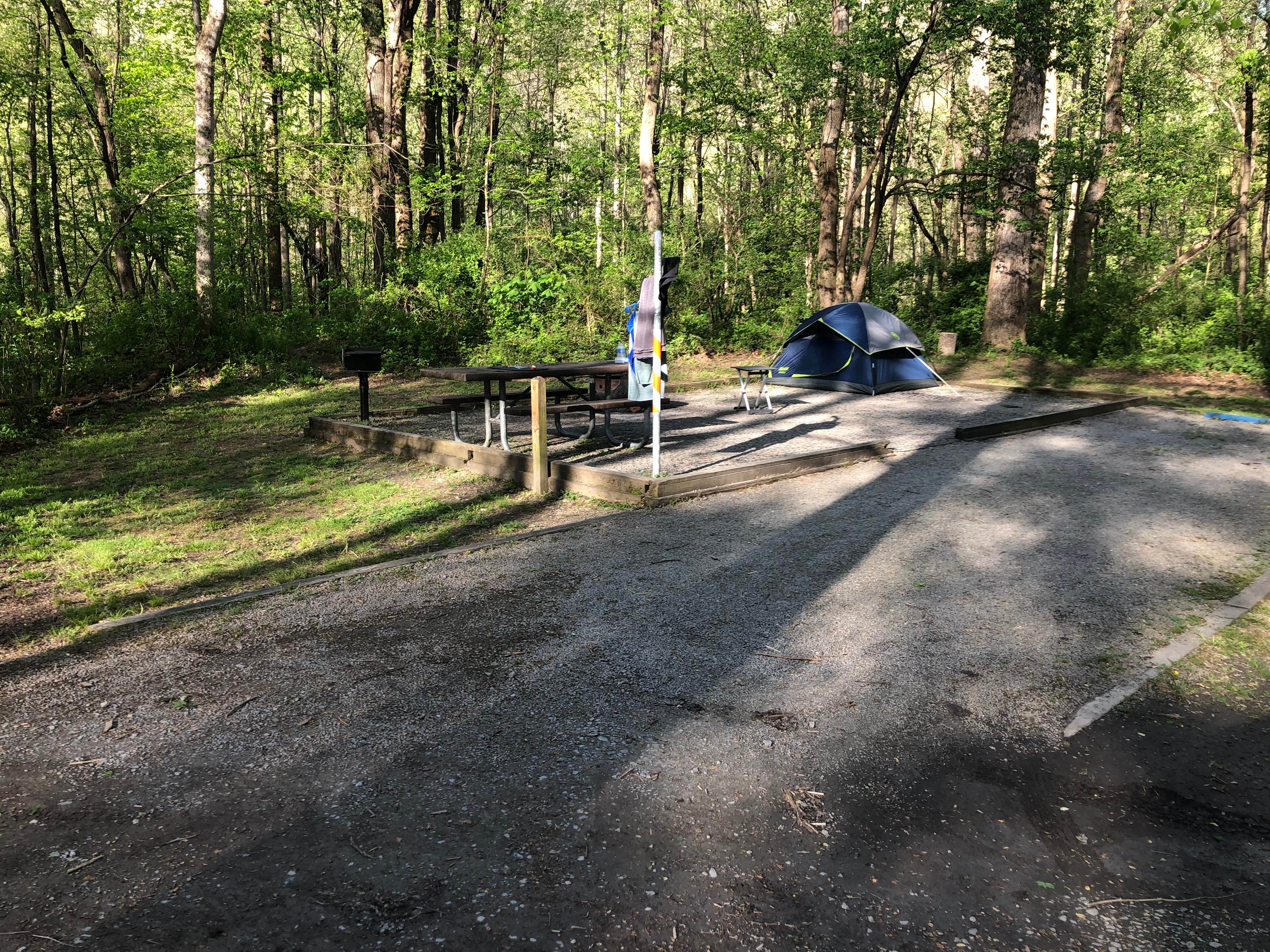 Roger W.'s photo at Grandview Sandbar Campground — New River Gorge National Park and Preserve near Danese, WV