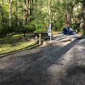 Review photo of Grandview Sandbar Campground — New River Gorge National Park and Preserve by Roger W., May 8, 2023