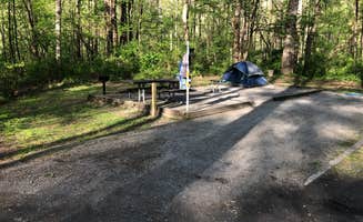 Roger W.'s photo at Grandview Sandbar Campground — New River Gorge National Park and Preserve near Meadow Creek, WV