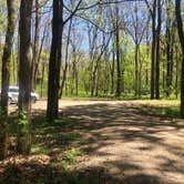 Review photo of Grandview Sandbar Campground — New River Gorge National Park and Preserve by Roger W., May 8, 2023