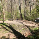 Review photo of Grandview Sandbar Campground — New River Gorge National Park and Preserve by Roger W., May 8, 2023