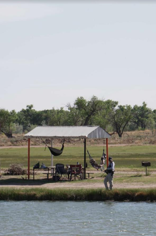 Camper submitted image from Bosque Redondo Park - 3