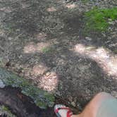 Review photo of Lake Michigan Recreation Area by Dan G., August 18, 2016