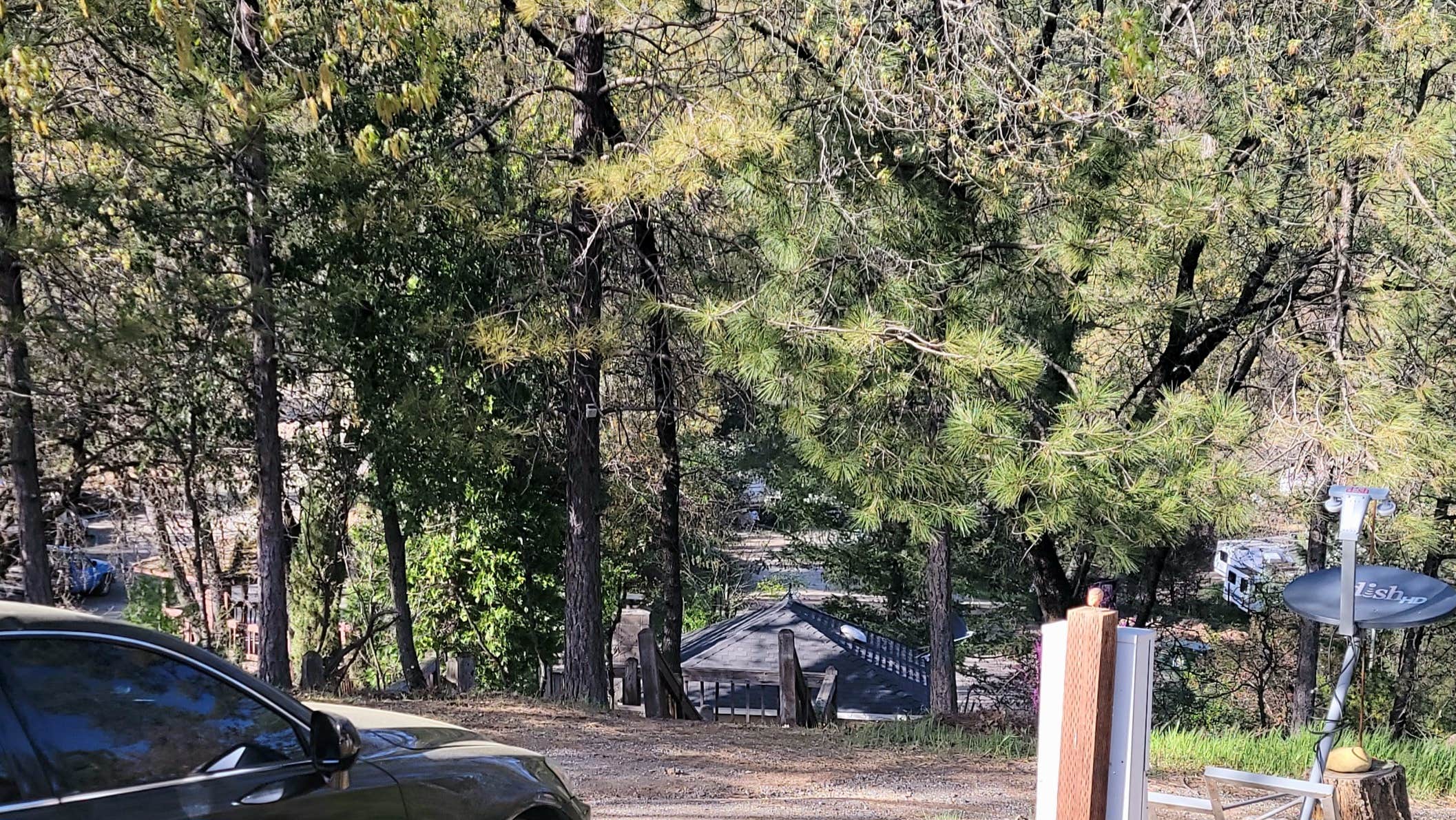 Matthew R.'s photo at Lake Shasta Pines RV Resort and Campground near Lakehead, CA