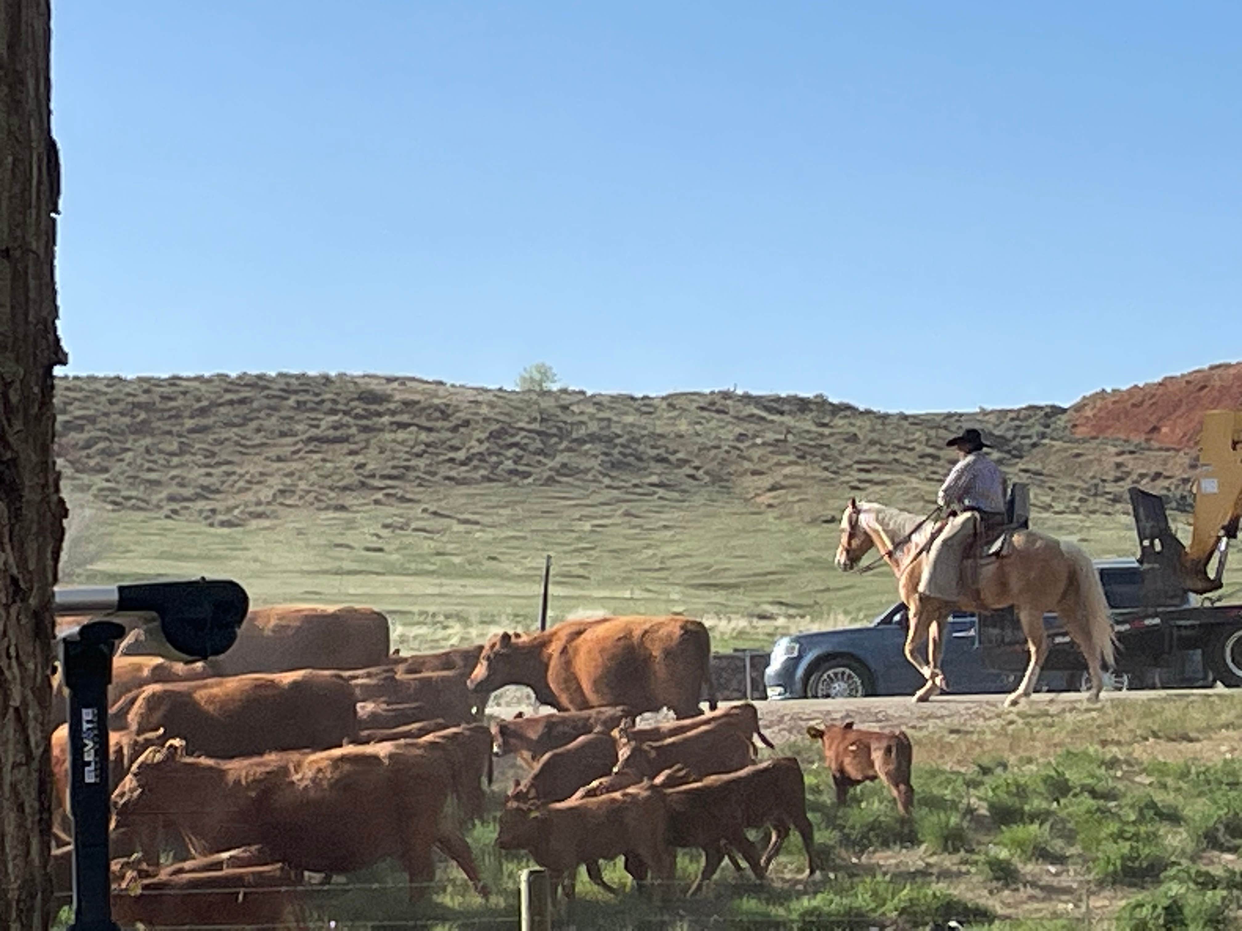 Camper-submitted photo at Ten sleep RV park near Buffalo, WY