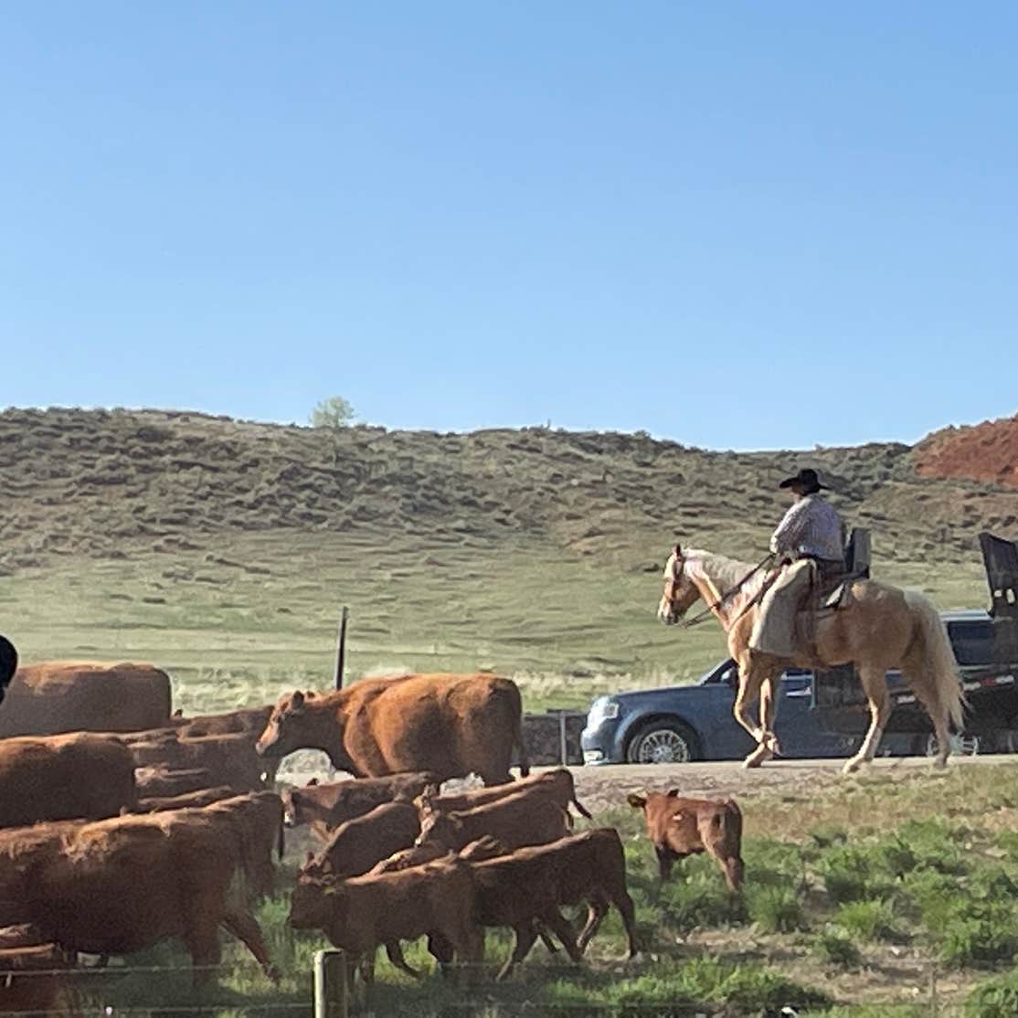Ten sleep rv park Camping Ten Sleep, WY