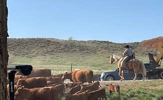 Anthony B.'s photo of camping with a horse at Ten sleep RV park near Hyattville, WY