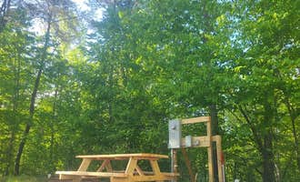 Camping near Asheville's Bear Creek RV Park & Campground: Pinedale Acres, Candler, North Carolina