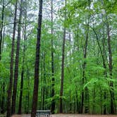 Review photo of Redbud Campground at Bell Smith Springs by Carol , May 9, 2023