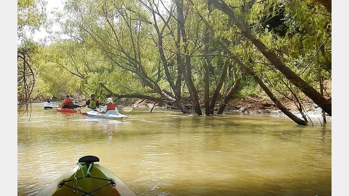 Camper-submitted photo at Helton Nature Park near Elmendorf, TX