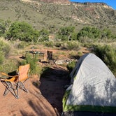 Review photo of North Creek Dispersed Camping by Andrew P., May 9, 2023