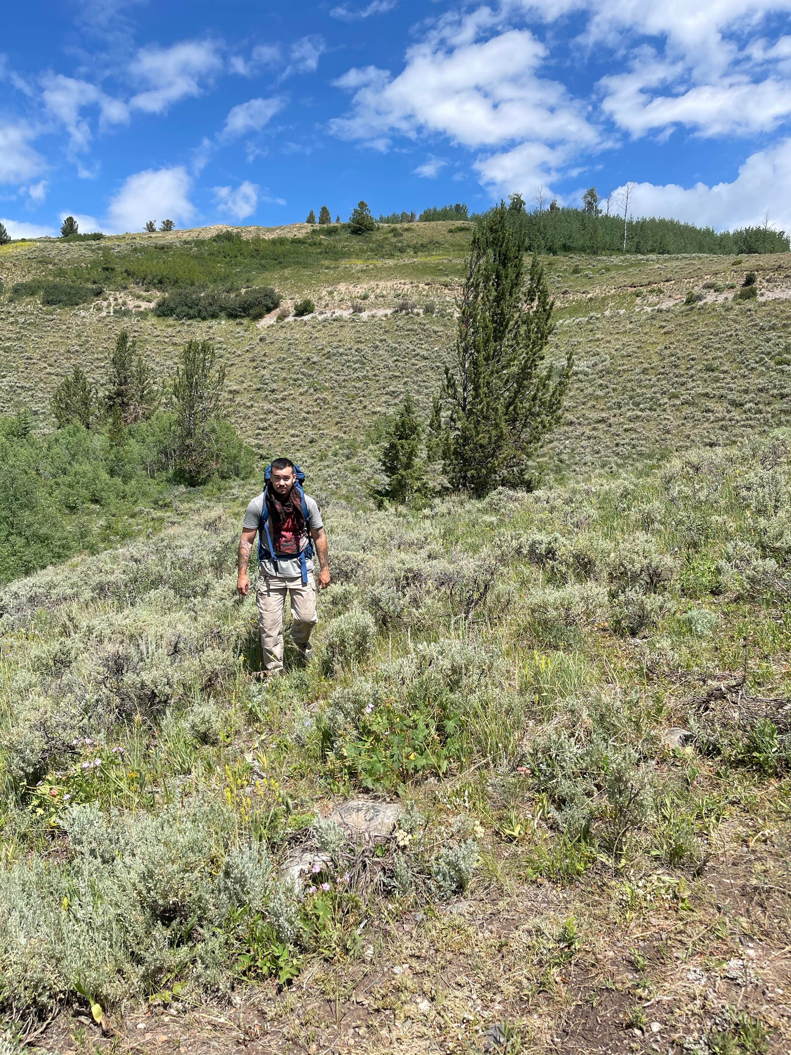 Camper submitted image from Gros Ventre Wilderness - 4