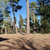 Review photo of Carr Lake Campground on Forest Road 9350 by cj P., May 9, 2023