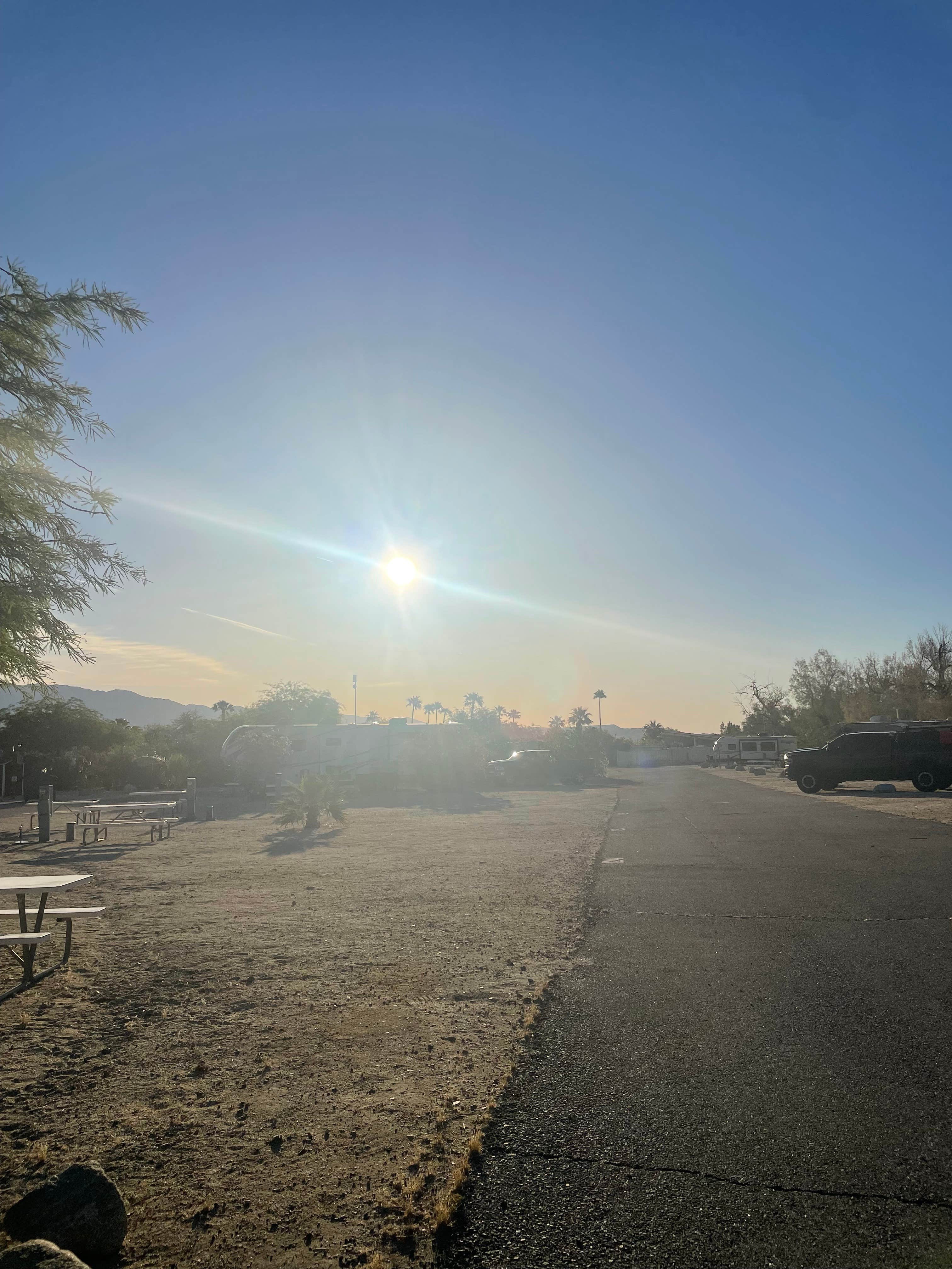 Camping near Yaqui Well Primitive Campground — Anza-Borrego Desert State Park: Palm Canyon Hotel & RV Resort, Borrego Springs, California