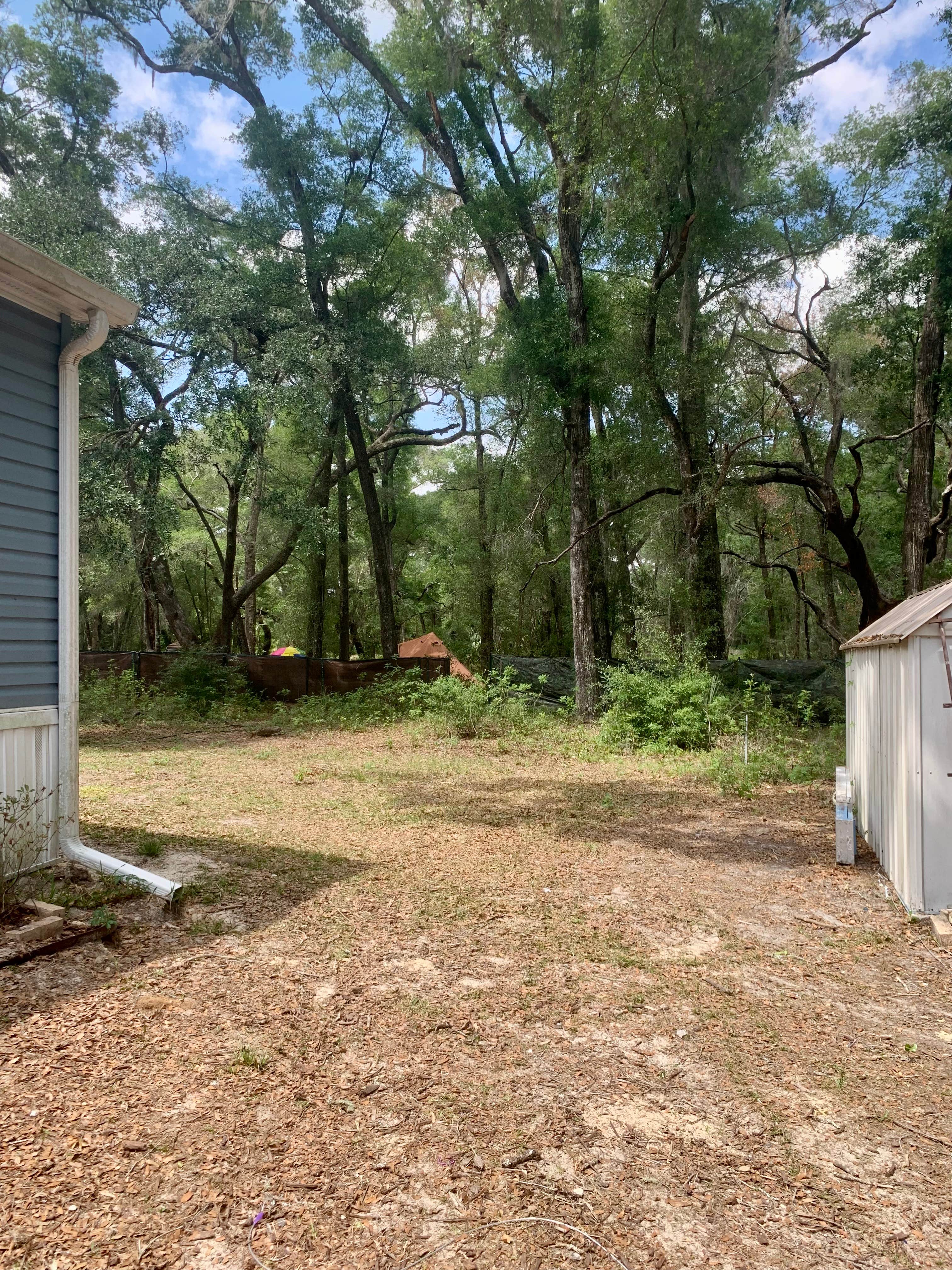 Camping near Big Bass Village Camp Ground: Woodland Nesters, Crystal River, Florida