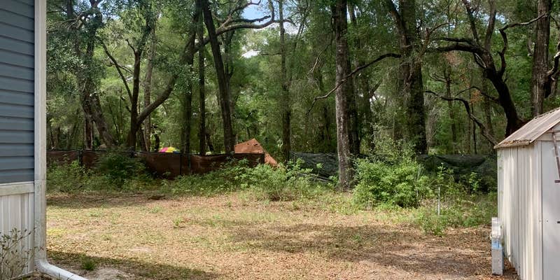 Camper submitted image from Woodland Nesters