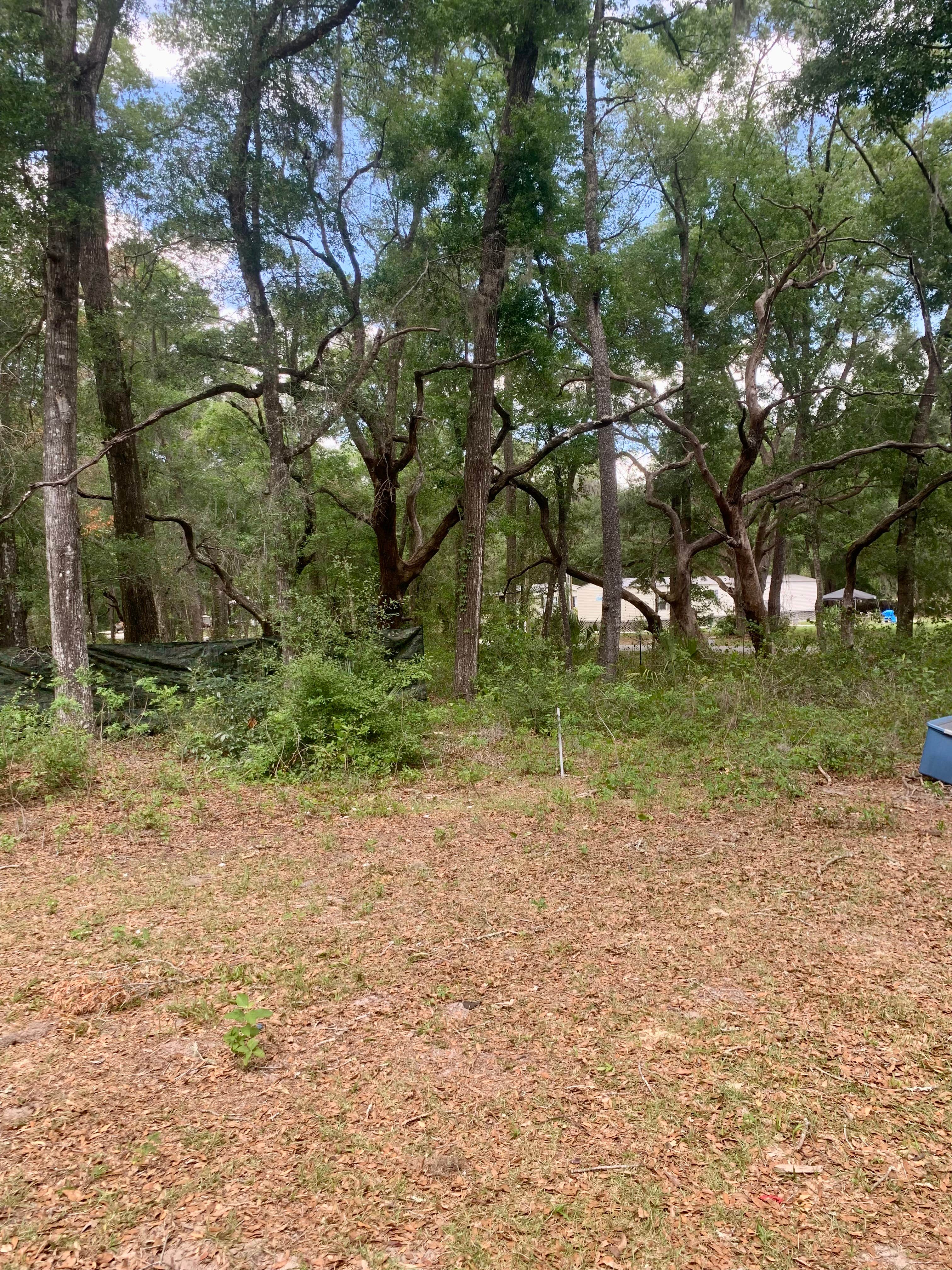 Dezarae H.'s photo at Woodland Nesters near Homosassa, FL